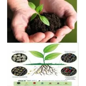  Biofertilizer For Agriculture
