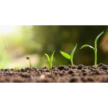  Biofertilizer