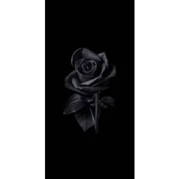Natural Black Rose