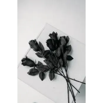 Black Rose