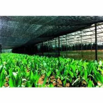 Black Shade Net