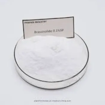 Natural  Brassinolide