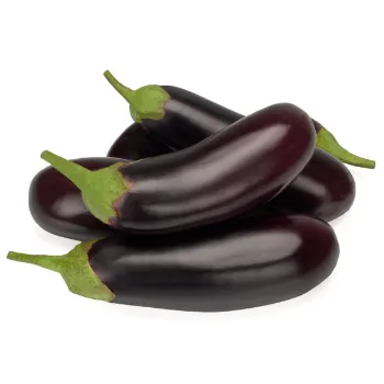 Organic Brinjal