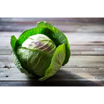 Organic Cabbage