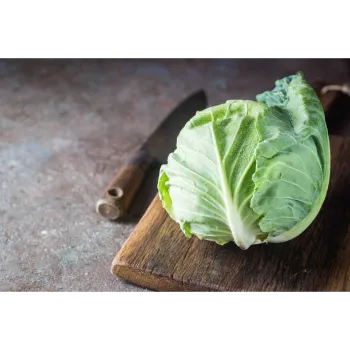 Organic Cabbage