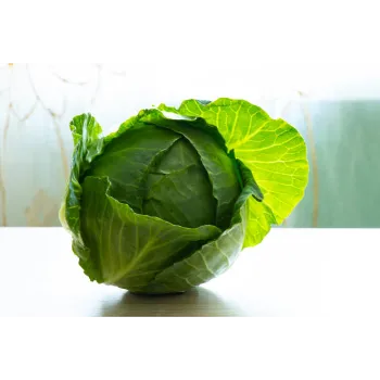Fresh Cabbage