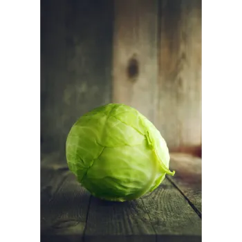 Organic  Cabbage