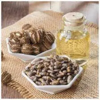 Castor Oil Manufacturer