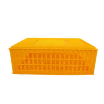 Indian Chicken Transport Boxes