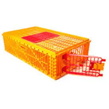 Chicken Transport Boxes For Agriculture