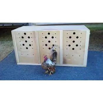 Chicken Transport Boxes