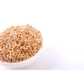  Fresh Chironji Exporter, Wholesaler, Trader, and Importer