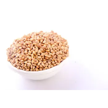 Common Chironji Manufacturer, Wholesaler, and Trader