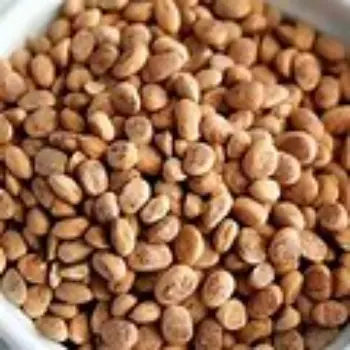 Natural Chironji