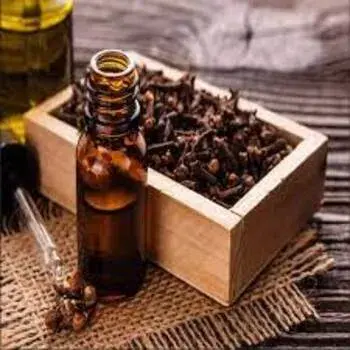 Refined Organic Clove Oil