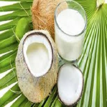 Coconut Milk