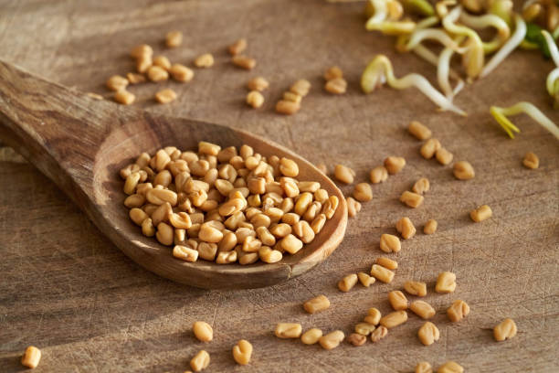  Organic Coriander Seed