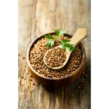  Fresh Coriander Seed