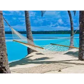  Cotton Hammock