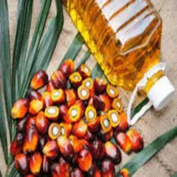 Crude Palm Oil