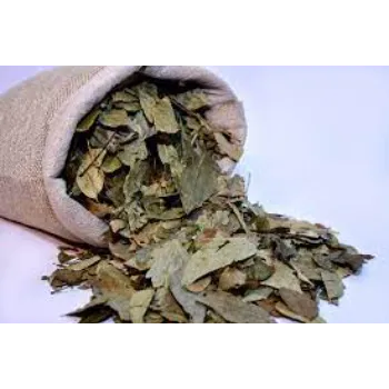 Dry Curry Leaves