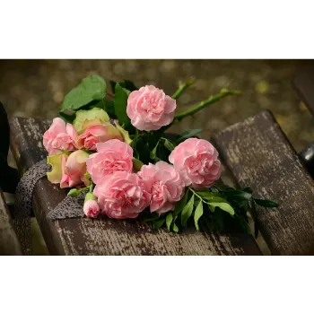 Cut Flowers