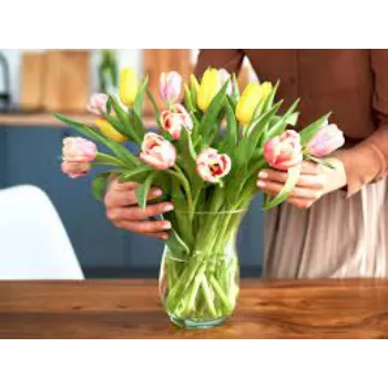 Fresh Cut Flowers