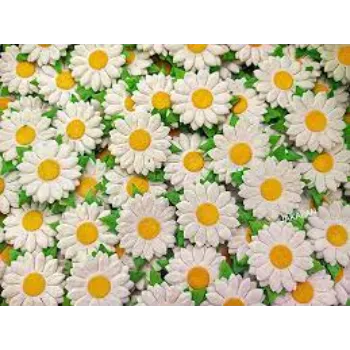 Natural Daisy Flower