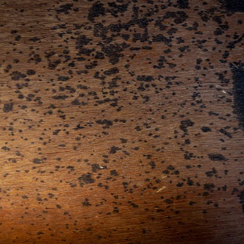 Decorative Wall Panel