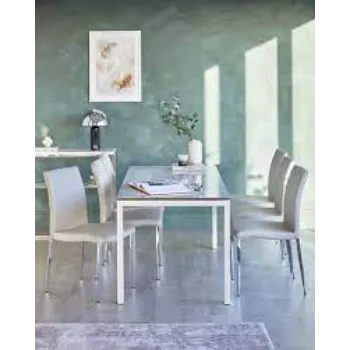  Designer Dining Chair