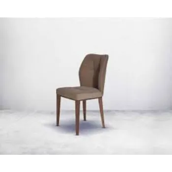 Luxury Affordable Designer Dining Chair