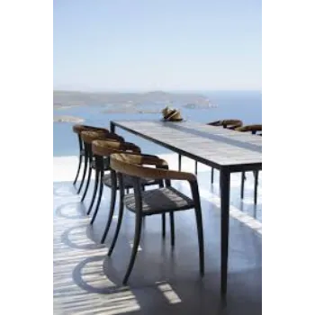 Blue Boy  Designer Dining Chair