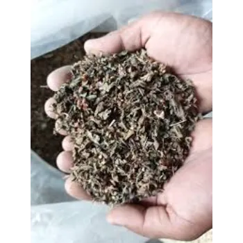 Dried Tulsi Leaves