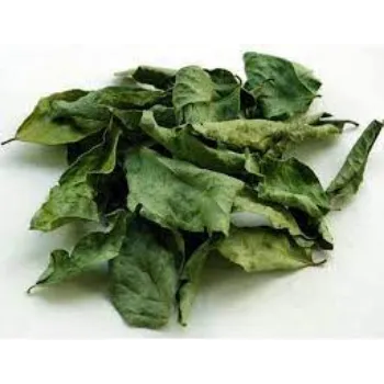Organic Curry Leaves