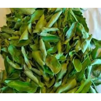 Natural Dried Curry Leaves