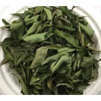 Natural Curry Leaves