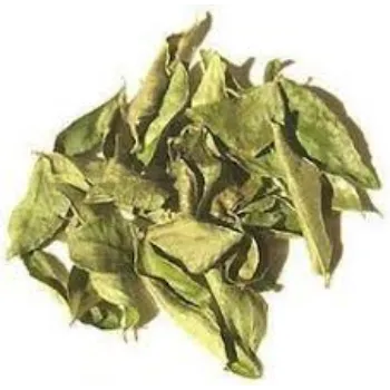 Natural Curry Leaves