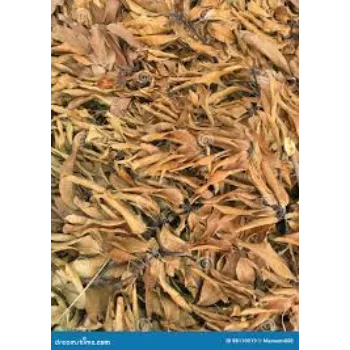 Organic Dried Mango Leaves