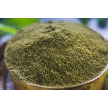 Organic Mint Leaves