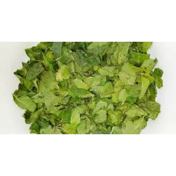 Natural Mint Leaves
