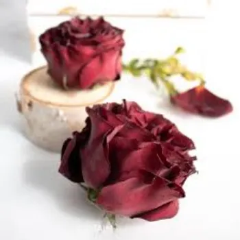 Dry Red Rose Flowers