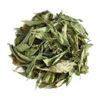 Natural Stevia Leaves