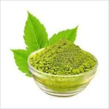 Dry Mint Leaves