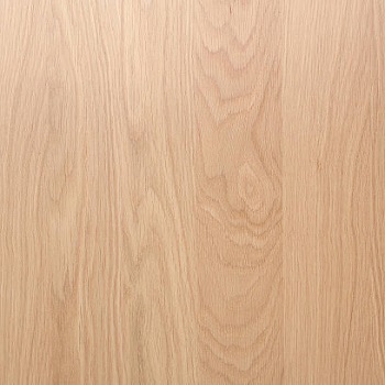 Termite Proof Wood Laminates
