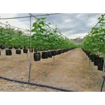 NaturiGrow Fertigation System