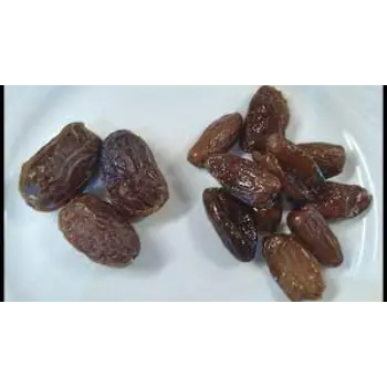 Natural Fresh Dates
