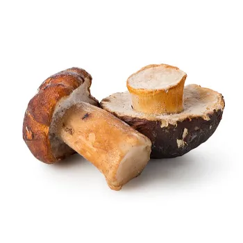 Organic Fresh Frozen Mushroom