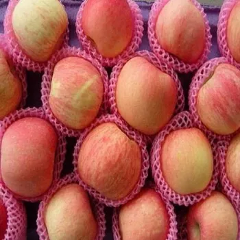Fruit Packaging Foam Net