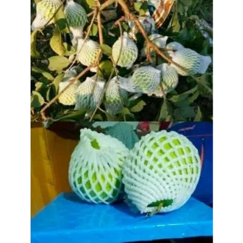  Fruit Packaging Foam Net