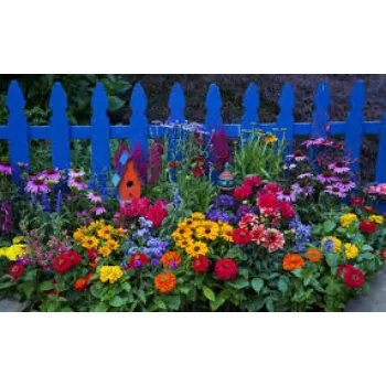 Organic Garden Flower